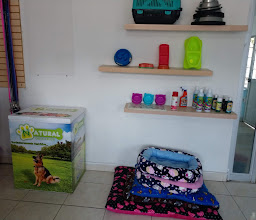 CCTorreón (control canino, perrera municipal) photo