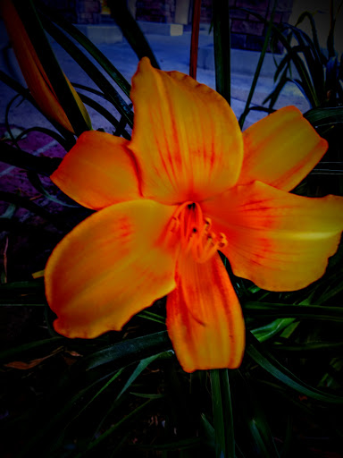 Grocery Store «Ralphs», reviews and photos, 101 W Los Angeles Ave, Moorpark, CA 93021, USA