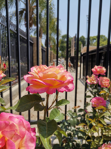 Park «Rosemead Park», reviews and photos, 4343 Encinita Ave, Rosemead, CA 91770, USA