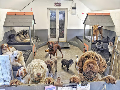 Park-your-paws. Doggy day care, home boarding & dog walking