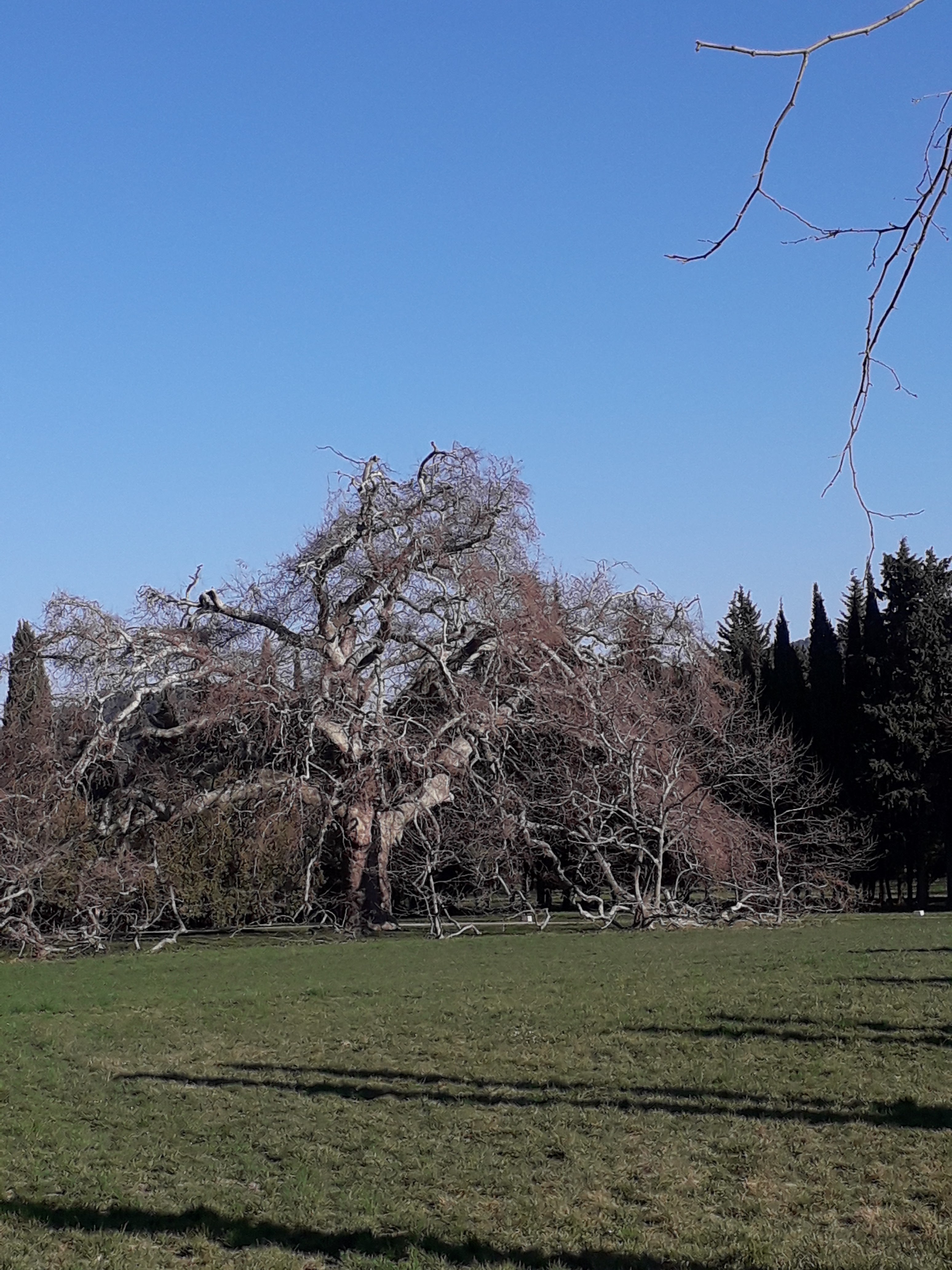 Photo n° 3 de l'avis de Emma.o fait le 27/02/2019 à 18:40