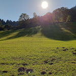 Photo n°2 de l'avis de Denis.e fait le 14/10/2018 à 21:17 sur le  Hotel Pausa à Montan an der Weinstraße