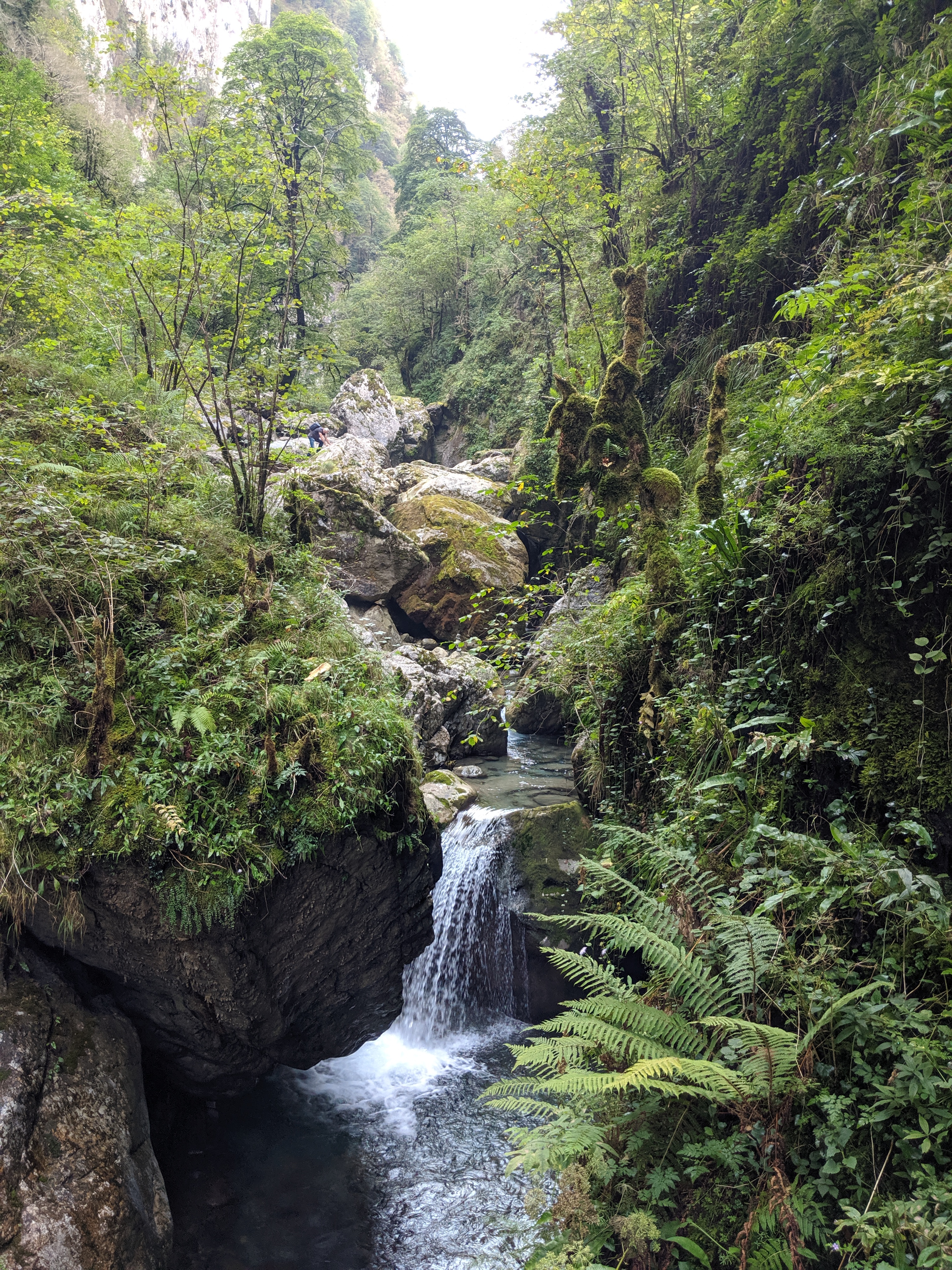 Photo n° 16 de l'avis de Pierre.e fait le 20/09/2019 à 12:45