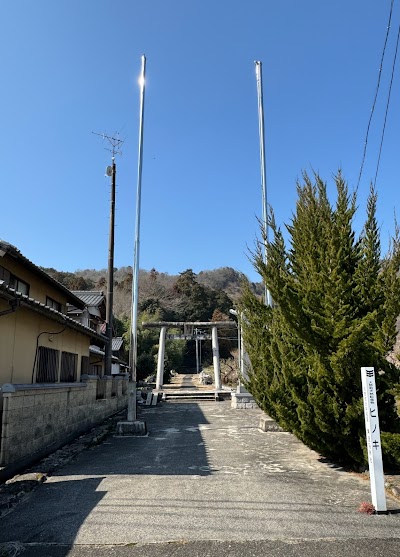 素盞嗚神社のヒノキ