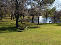 University of Houston-Clear Lake - Photo 8 - Car repair in Houston, TX, League City