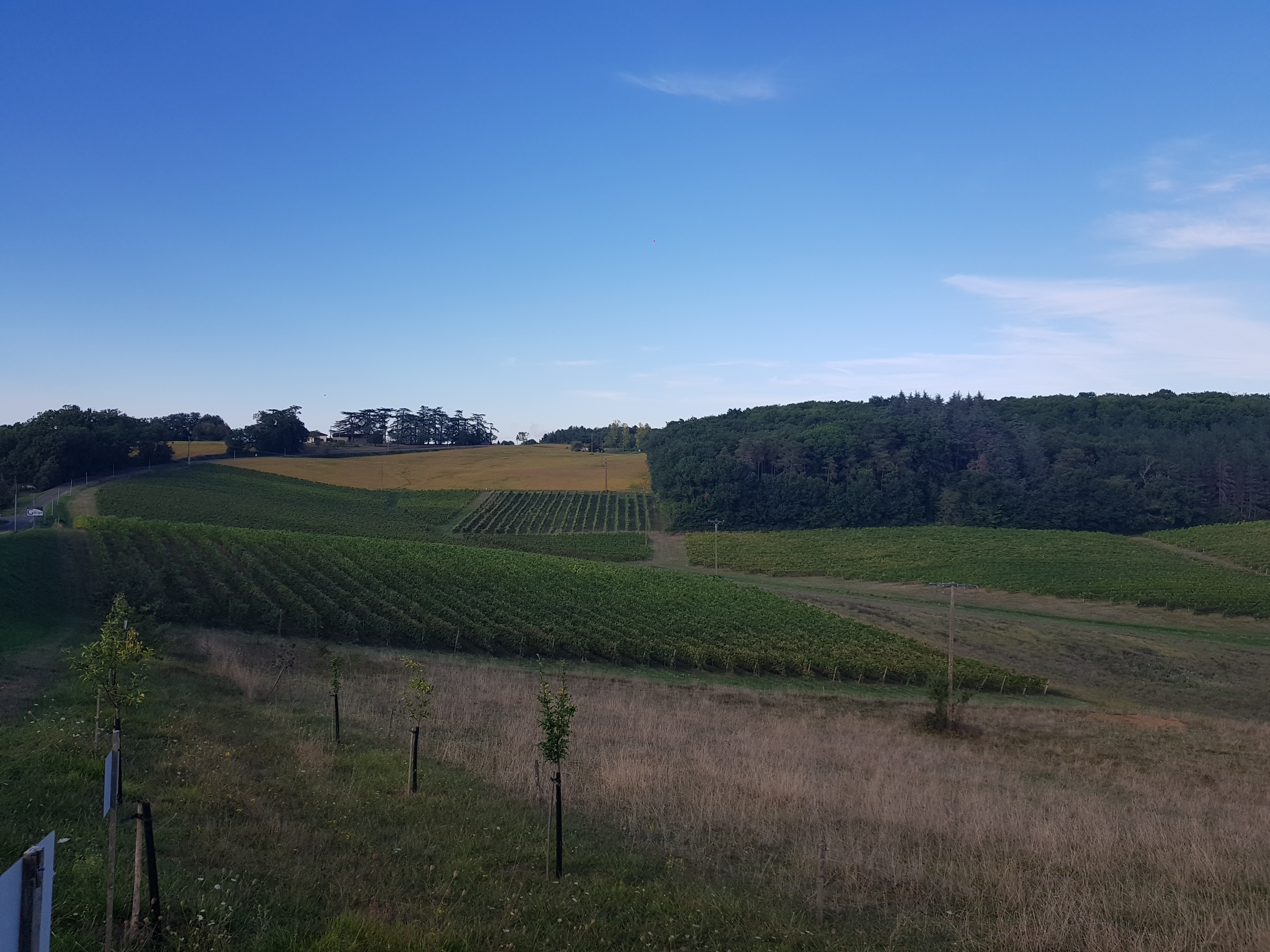 Photo n° 5 de l'avis de Eric.a fait le 14/09/2020 à 06:34