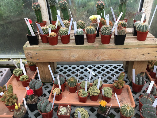 Plant Nursery «Sturtz & Copeland Florist & Greenhouses», reviews and photos, 2851 Valmont Rd, Boulder, CO 80301, USA