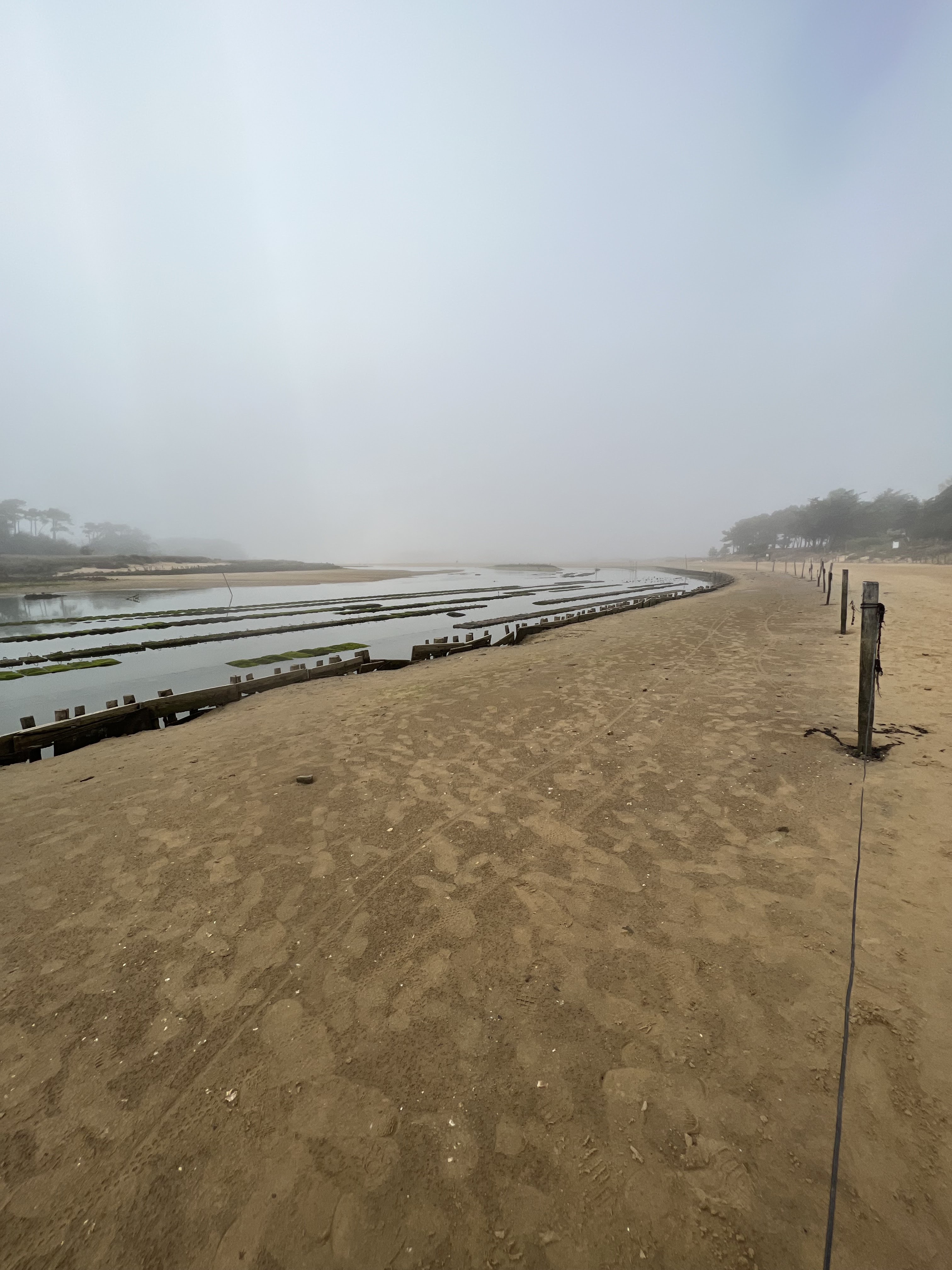 Photo n° 7 de l'avis de gaelle.e fait le 13/10/2023 à 15:14