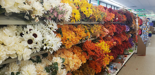 Dollar Store «Dollar Tree», reviews and photos, 711 Washington Ave #19, Chestertown, MD 21620, USA