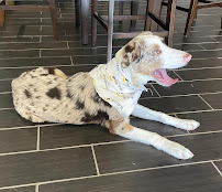 Electric Plus, Inc. - Bloomington - Photo 2 - Car repair in Bloomington, IN, Bloomington