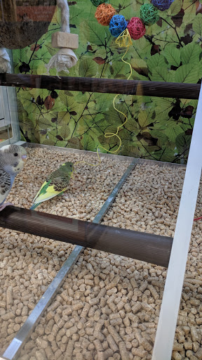 Pet Supply Store «PetSmart», reviews and photos, 4013 Wisconsin 28, Kohler, WI 53081, USA