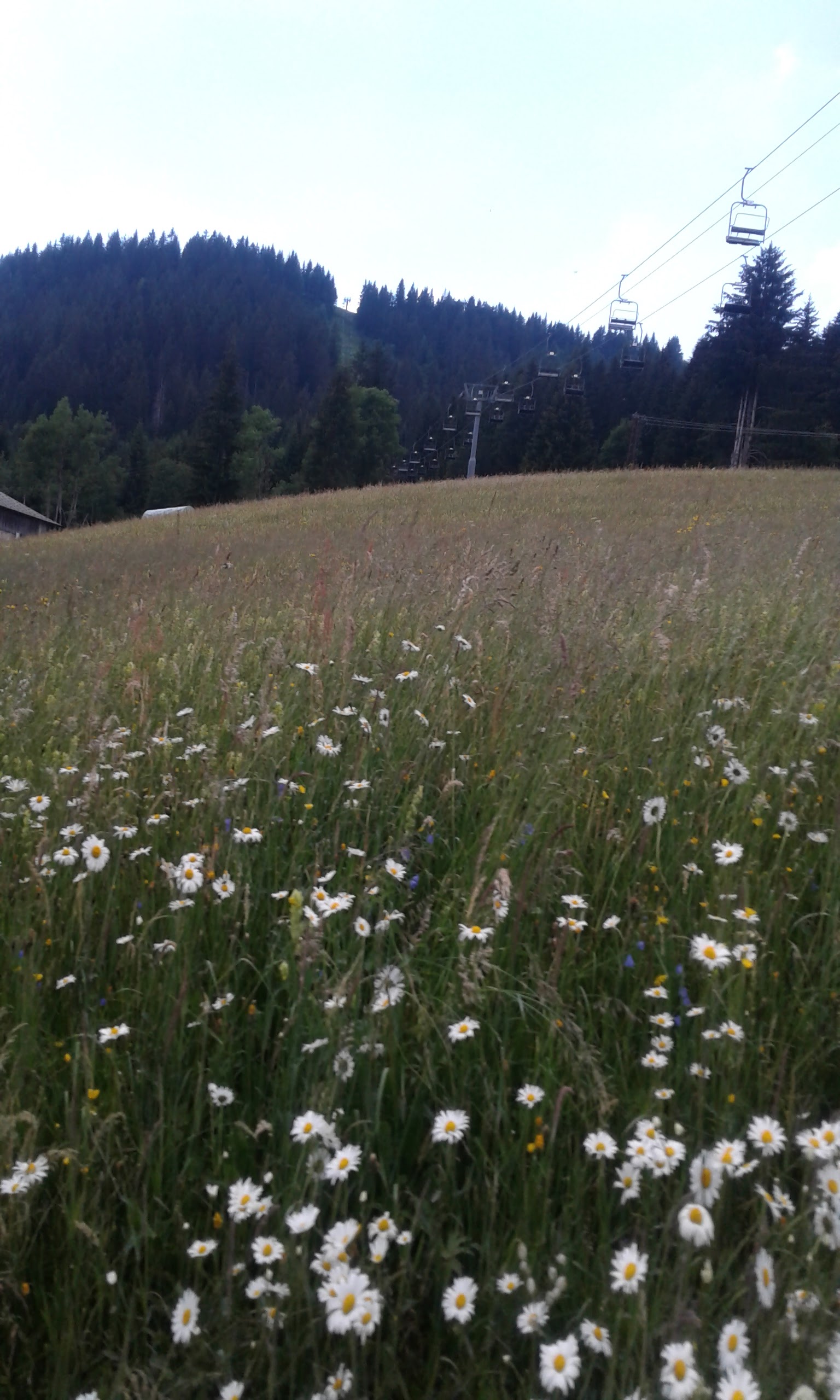 Photo n° 6 de l'avis de Cherzad.r fait le 24/06/2018 à 20:16
