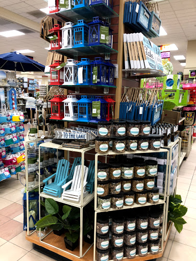 Home Goods Store «Christmas Tree Shops», reviews and photos, 100 Cypress St, Williston, VT 05495, USA