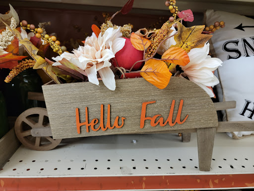 Discount Store «Big Lots», reviews and photos, 924 N Main St, Suffolk, VA 23434, USA