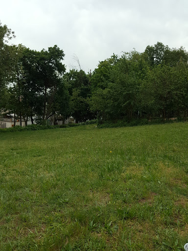 Dog Park «Forest Park Dog Run», reviews and photos, 8445 Park Ln S, Woodhaven, NY 11421, USA