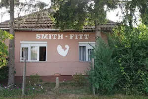 Smith-Fitt image
