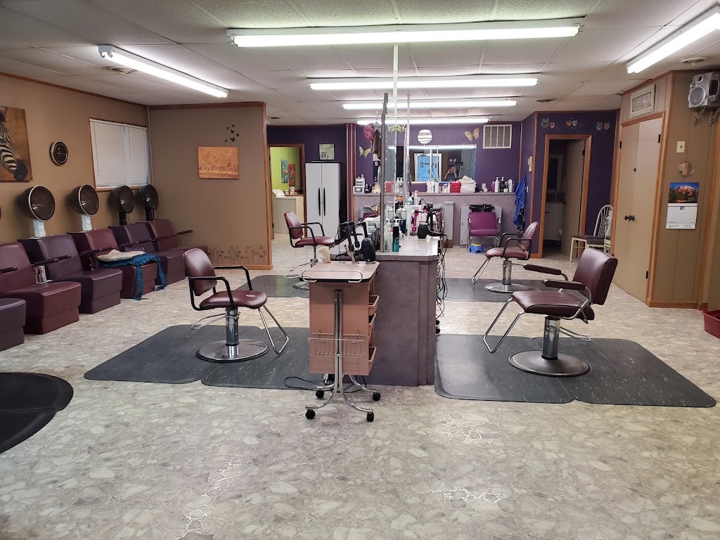 Shear Elegance 24078