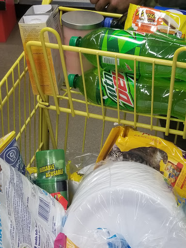 Home Goods Store «Dollar General», reviews and photos, 4162 OH-229, Marengo, OH 43334, USA