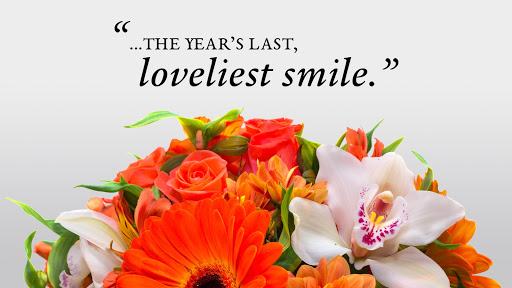 Florist «Adrian Durban Florist», reviews and photos, 3401 Clifton Ave, Cincinnati, OH 45220, USA