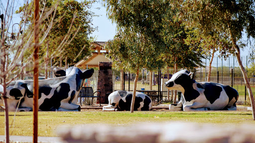Park «Cesar Chavez Park», reviews and photos, 7858 S 35th Ave, Laveen Village, AZ 85339, USA