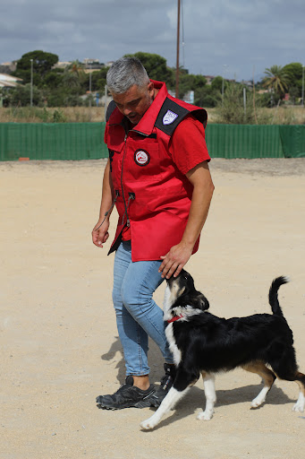 Escuela de Adiestradores Perros Terapéuticos