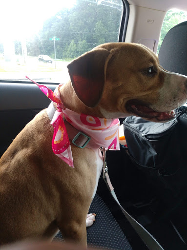 Pet Supply Store «PetSmart», reviews and photos, 11835 Retail Dr, Wake Forest, NC 27587, USA