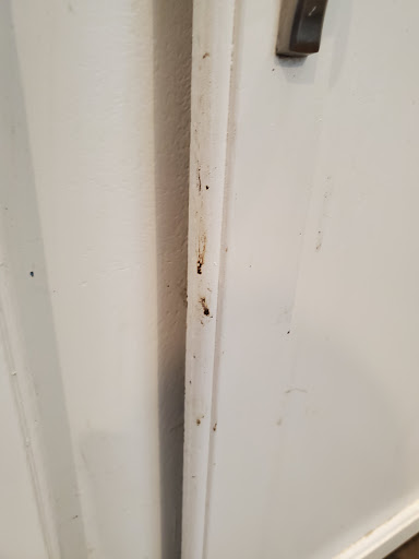 Plumber «Red Cap Plumbing & Air», reviews and photos, 6605 N Nebraska Ave, Tampa, FL 33604, USA