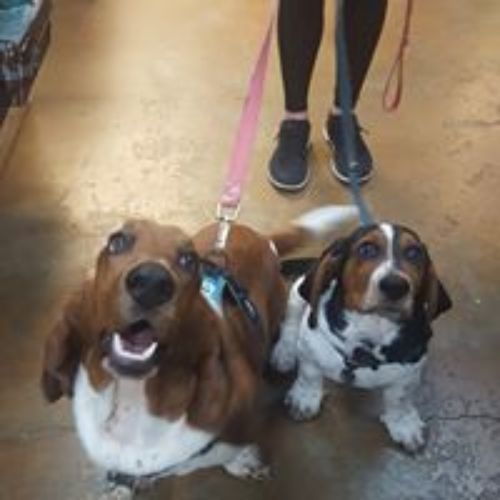 Pet Store «For Healthy Pets!», reviews and photos, 5165 Atlanta Hwy, Montgomery, AL 36109, USA