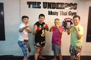 The Underdog Muay Thai Gym image
