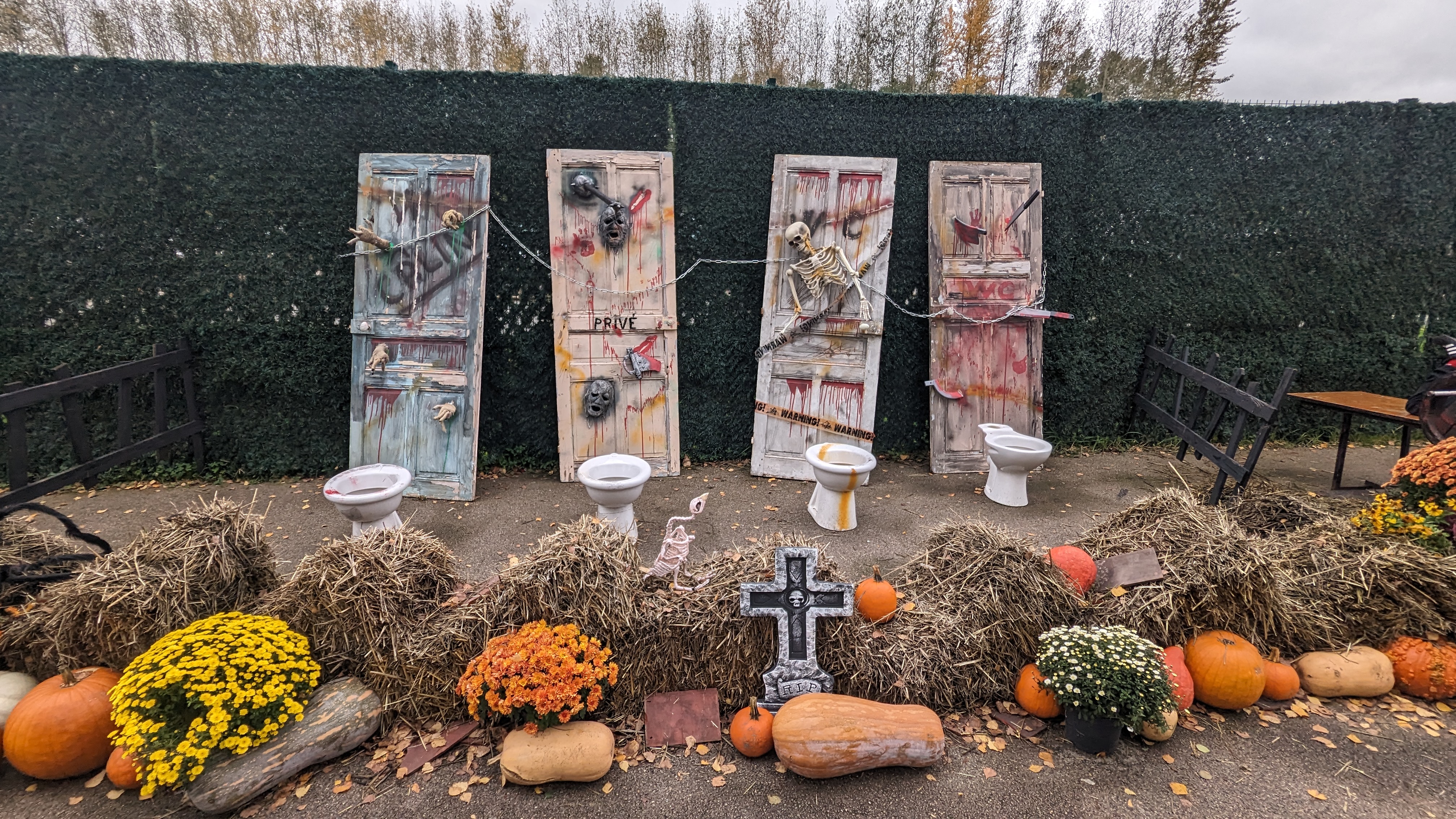 Photo n° 3 de l'avis de TiRuss. fait le 28/10/2023 à 15:49
