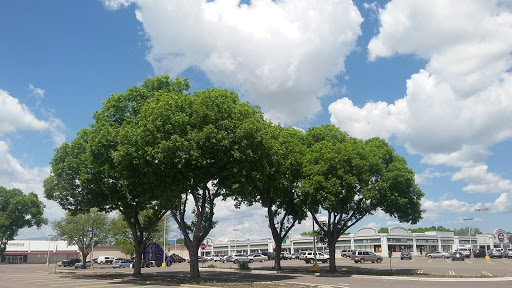 Gym «Planet Fitness», reviews and photos, 2255 Main St, Longmont, CO 80501, USA