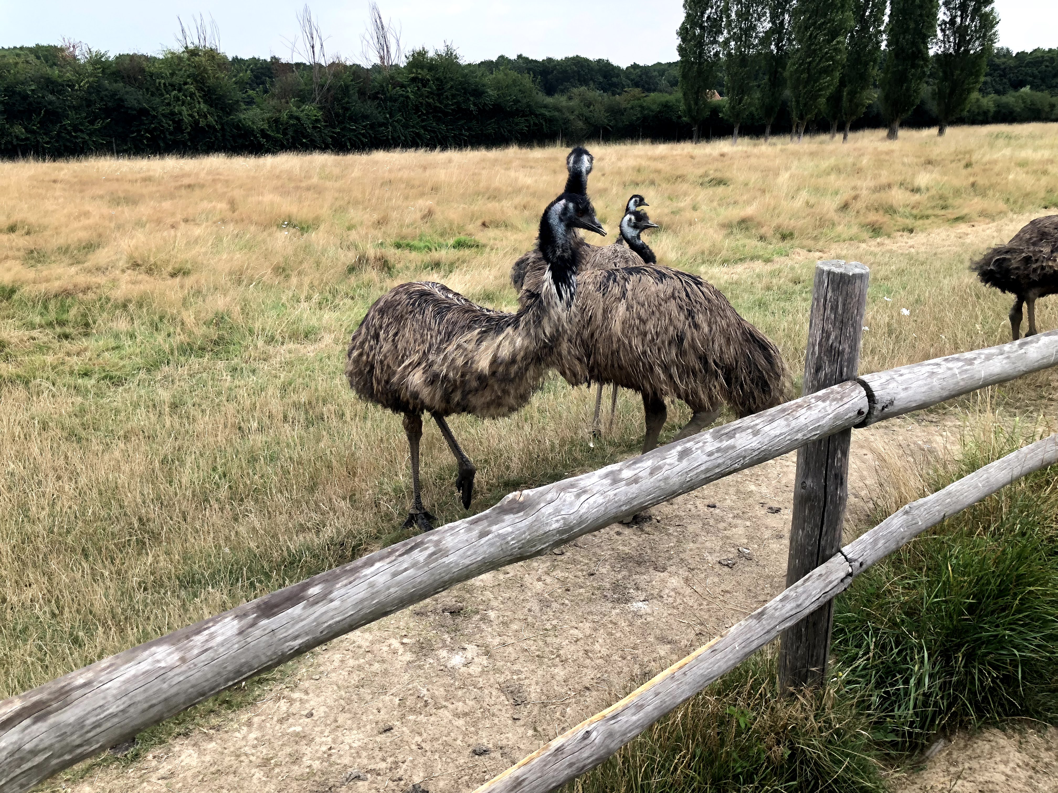 Photo n° 48 de l'avis de Julien.o fait le 27/07/2018 à 17:41