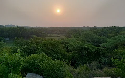 Sanjay Van image