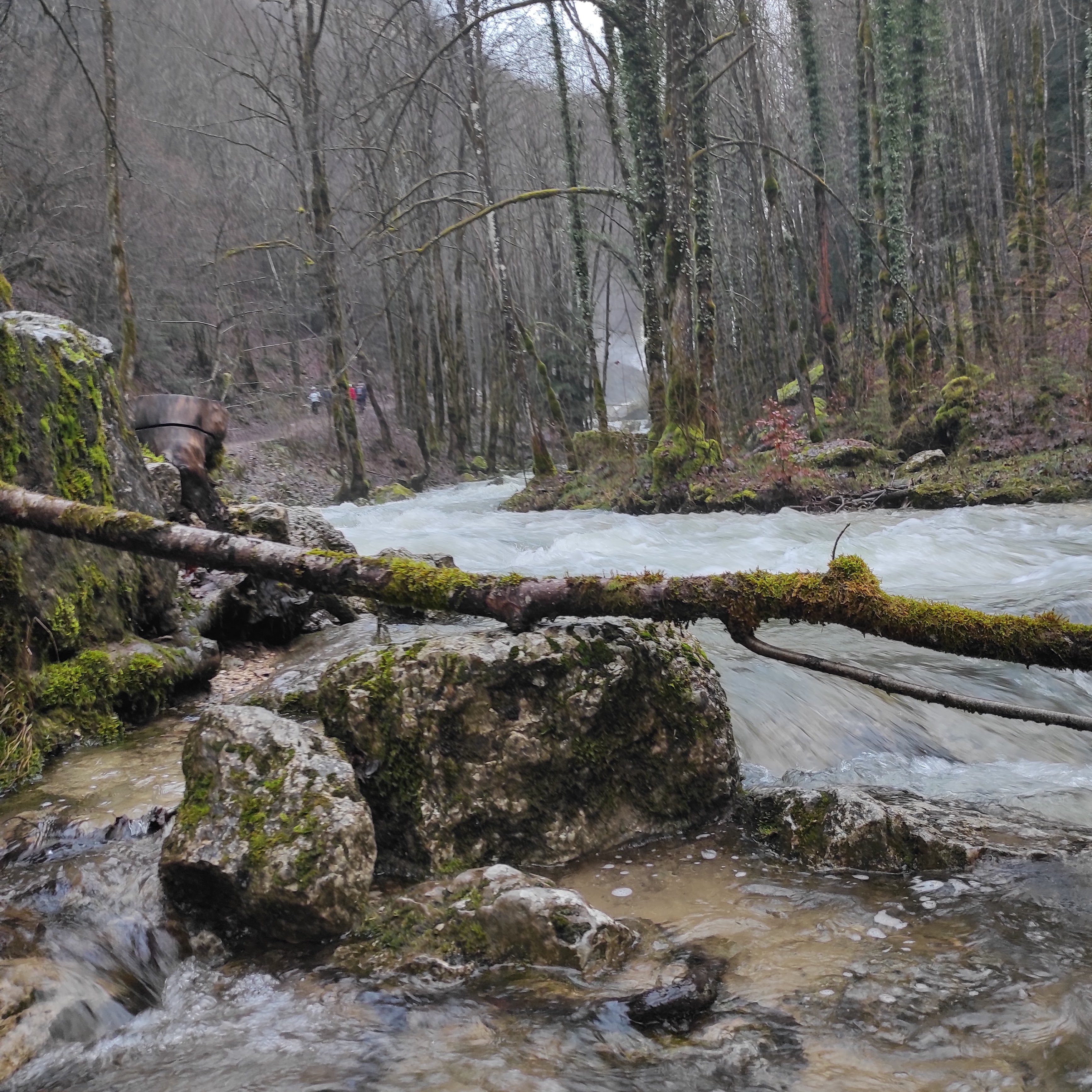 Photo n° 2 de l'avis de val.a fait le 03/01/2022 à 13:13