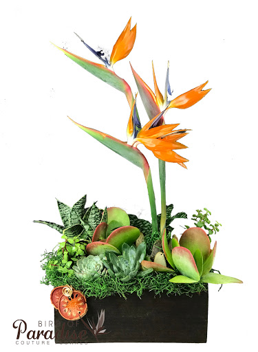 Florist «Bird of Paradise Couture Florals», reviews and photos, 17775 Main St m, Irvine, CA 92614, USA