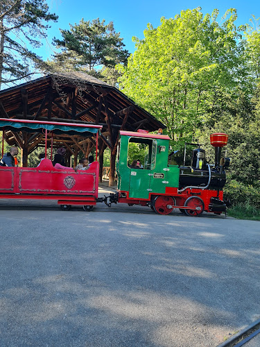 Le Petit Train du Parc de la Tête d'Or à Lyon