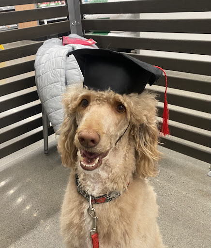 PetSmart