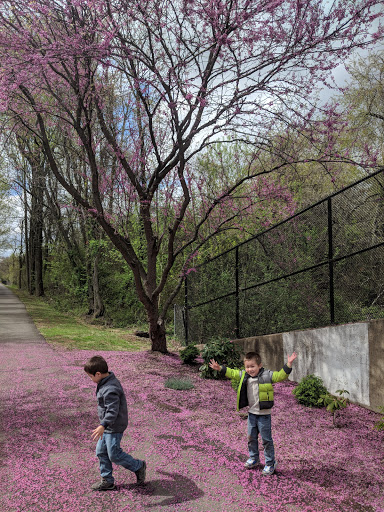 Self-Storage Facility «Warrenton Mini Storage», reviews and photos, 6437 Old Meetze Rd, Warrenton, VA 20187, USA