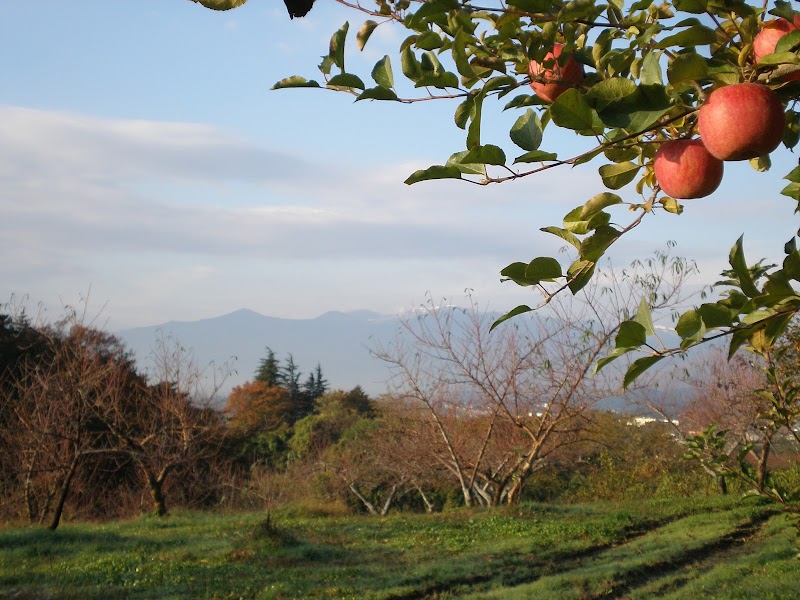 鈴木果樹園