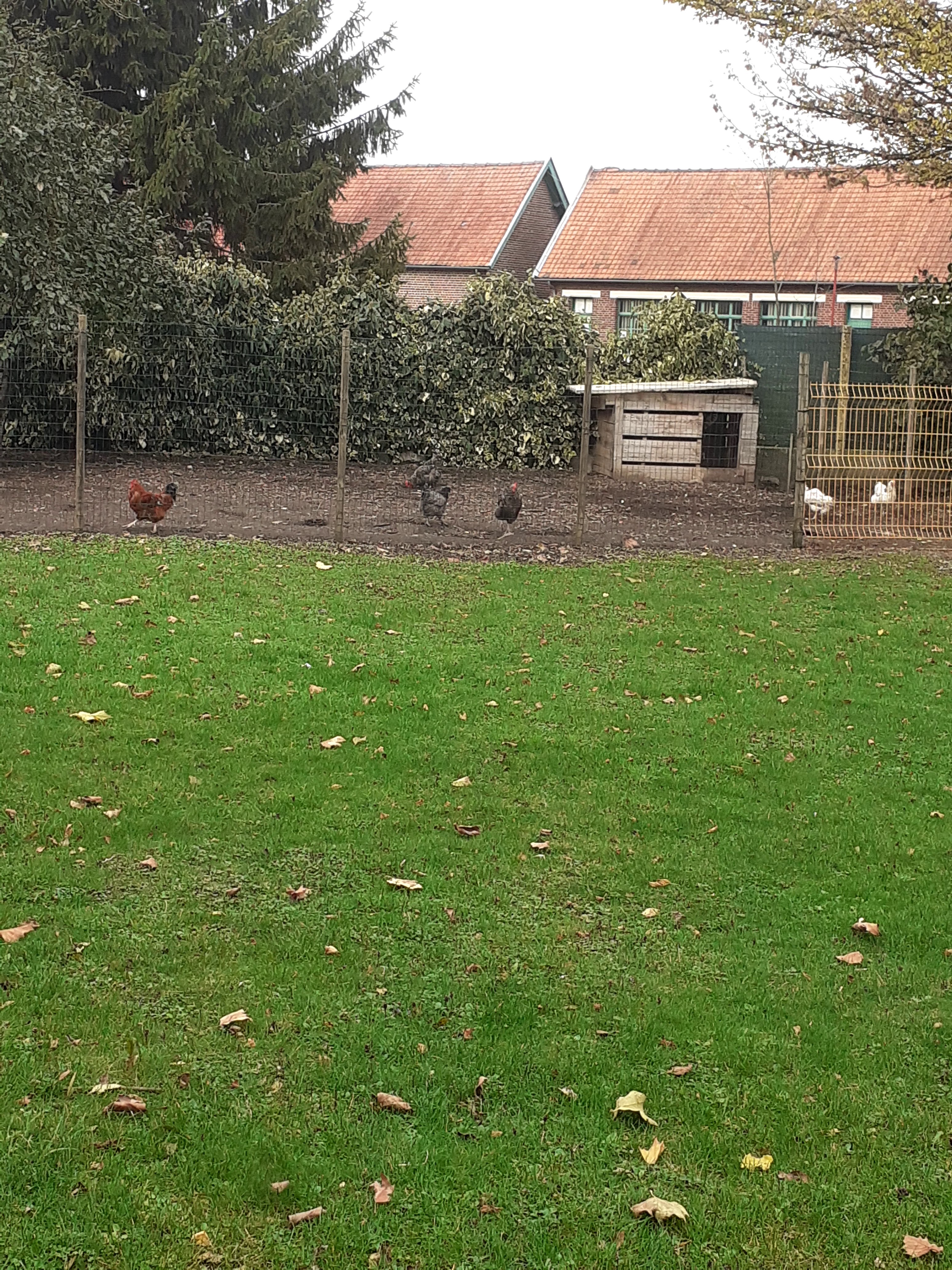 Photo n° 2 de l'avis de Girol.e fait le 27/10/2020 à 16:14