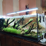 Photo n°2 de l'avis de Luciene.i fait le 04/11/2023 à 11:31 sur le  San Matteo Church Ristorante Pizzeria à Verona