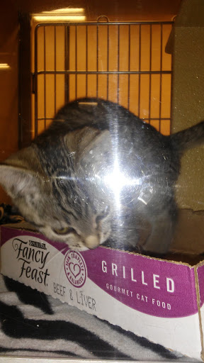 Pet Supply Store «PetSmart», reviews and photos, 2122 N 2nd St, Millville, NJ 08332, USA