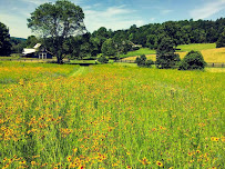 The Grow Company | Land & Garden - Photo 7 - Car repair in Charlottesville, VA, Charlottesville