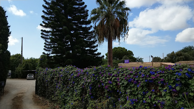 Clínica Veterinária do Torrejão - Veterinário