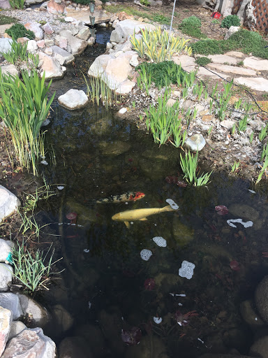 Utah Water Gardens