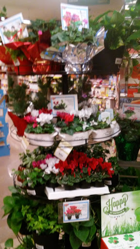 Grocery Store «Hannaford Supermarket», reviews and photos, 22 Goding Rd, Lincoln, ME 04457, USA