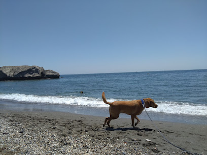 Playa canina, Piedra Paloma II en Casares