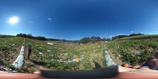 Tourist Attraction «Mitcham Farm», reviews and photos, 797 W Macedonia Church Rd, Oxford, GA 30054, USA