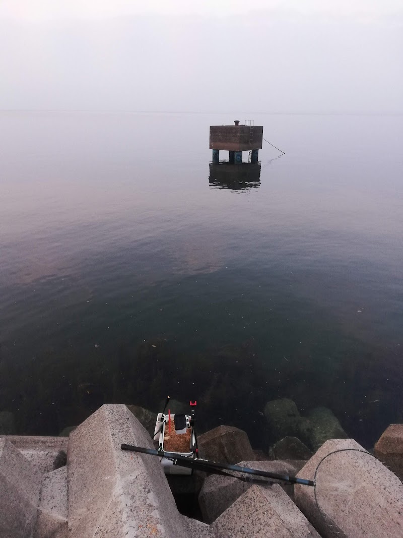 かめや釣具 鹿児島姶良店 鹿児島県姶良市東餅田 釣具店 グルコミ