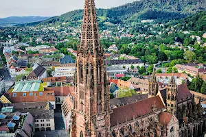 Freiburg Cathedral image
